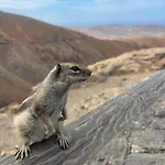 Paraiso Del Mar Коральео