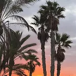 Апартаменты Paraiso Del Mar