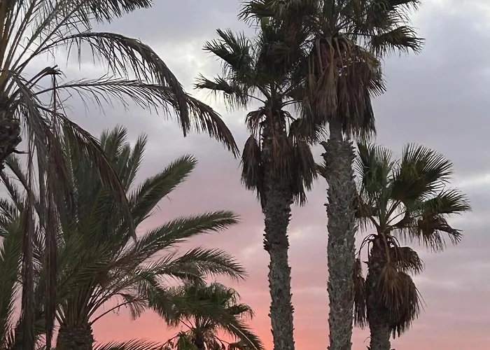 Appartamento Paraiso Del Mar